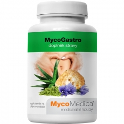 MycoGastro 90g prášek MycoMedica