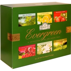 Collection Evergreen Tea 60x2g Ahmad Tea