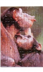 Puzzle Dva opičáci 48 dílků