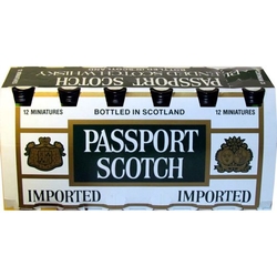 Whisky Passport 40% 50ml x12 miniatur
