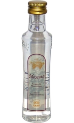 Grappa Moscato 40% 50ml Giori miniatura