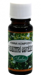 vonný olej Podzimní osvěžení 10ml x 5ks Salus