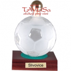 sklo Fotbalový míč 350ml nápis Slivovice