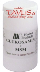 Glukosamin+MSM 100 tablet MedinTerra