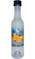 Vodka Coll Grey Goose L'Orange 40% 50ml miniatura